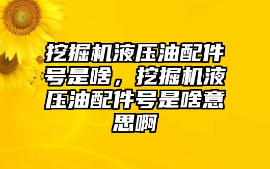 挖掘機液壓油配件號是啥，挖掘機液壓油配件號是啥意思啊