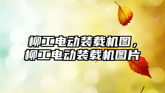 柳工電動裝載機(jī)圖，柳工電動裝載機(jī)圖片