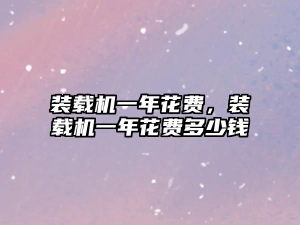 裝載機(jī)一年花費(fèi)，裝載機(jī)一年花費(fèi)多少錢