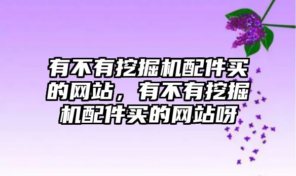 有不有挖掘機配件買的網(wǎng)站，有不有挖掘機配件買的網(wǎng)站呀