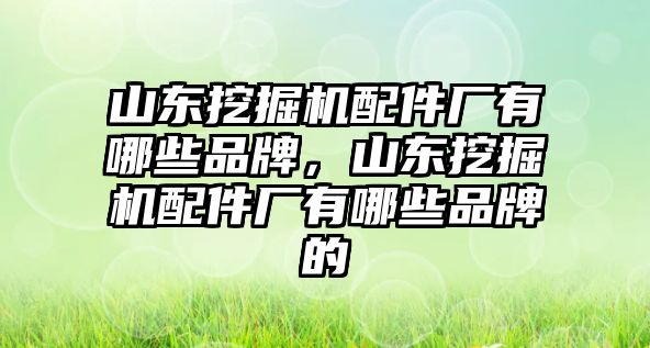 山東挖掘機配件廠有哪些品牌，山東挖掘機配件廠有哪些品牌的