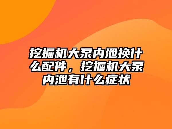 挖掘機(jī)大泵內(nèi)泄換什么配件，挖掘機(jī)大泵內(nèi)泄有什么癥狀