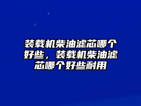 裝載機(jī)柴油濾芯哪個好些，裝載機(jī)柴油濾芯哪個好些耐用