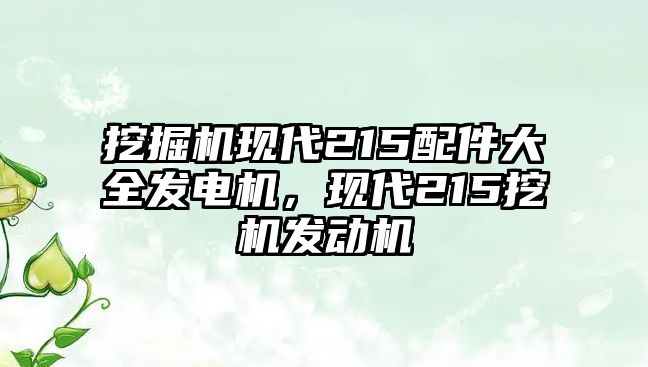 挖掘機(jī)現(xiàn)代215配件大全發(fā)電機(jī)，現(xiàn)代215挖機(jī)發(fā)動(dòng)機(jī)