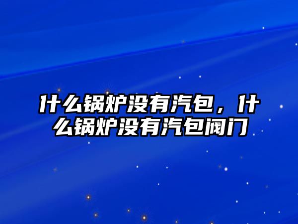 什么鍋爐沒有汽包，什么鍋爐沒有汽包閥門