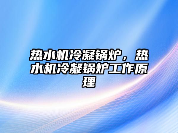 熱水機冷凝鍋爐，熱水機冷凝鍋爐工作原理