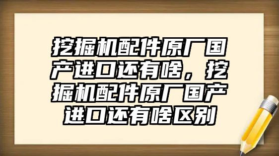 挖掘機(jī)配件原廠國產(chǎn)進(jìn)口還有啥，挖掘機(jī)配件原廠國產(chǎn)進(jìn)口還有啥區(qū)別