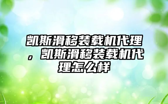 凱斯滑移裝載機代理，凱斯滑移裝載機代理怎么樣