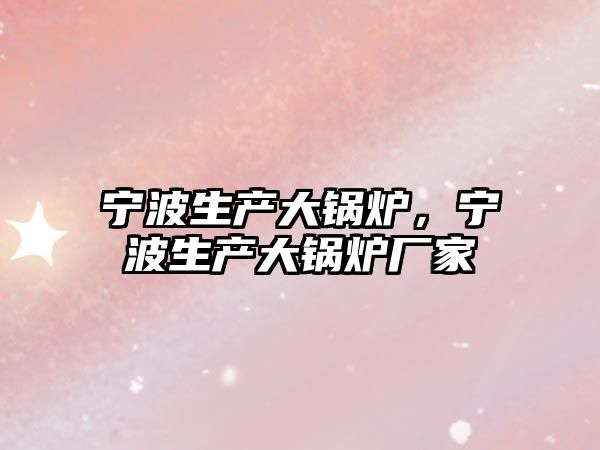 寧波生產(chǎn)大鍋爐，寧波生產(chǎn)大鍋爐廠家