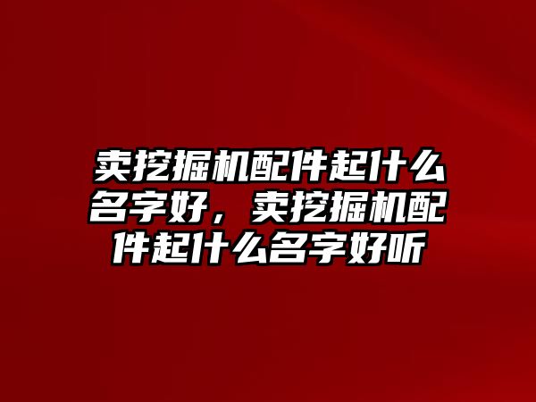 賣挖掘機配件起什么名字好，賣挖掘機配件起什么名字好聽