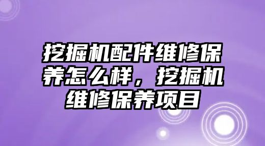 挖掘機配件維修保養(yǎng)怎么樣，挖掘機維修保養(yǎng)項目