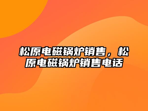 松原電磁鍋爐銷售，松原電磁鍋爐銷售電話