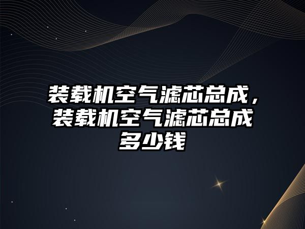裝載機(jī)空氣濾芯總成，裝載機(jī)空氣濾芯總成多少錢