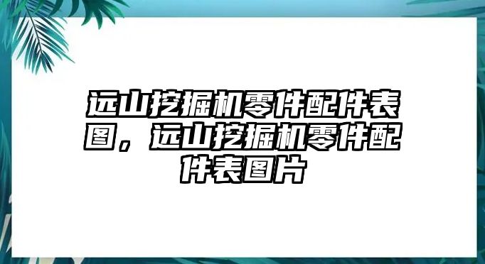 遠山挖掘機零件配件表圖，遠山挖掘機零件配件表圖片