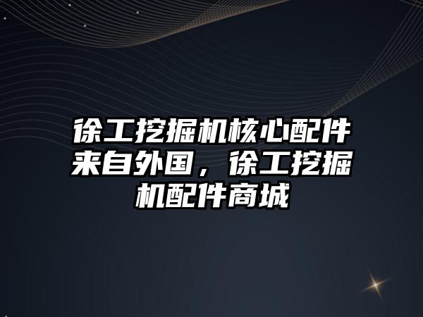 徐工挖掘機(jī)核心配件來(lái)自外國(guó)，徐工挖掘機(jī)配件商城