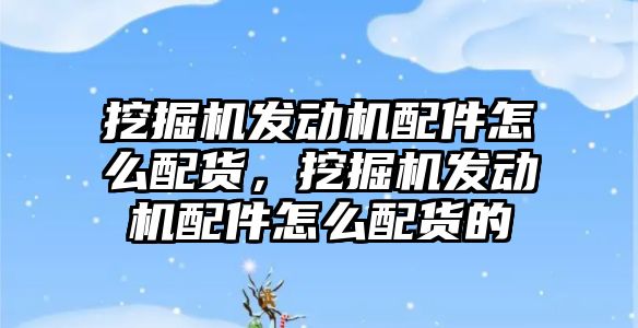 挖掘機(jī)發(fā)動(dòng)機(jī)配件怎么配貨，挖掘機(jī)發(fā)動(dòng)機(jī)配件怎么配貨的