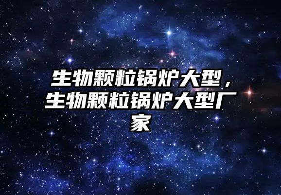 生物顆粒鍋爐大型，生物顆粒鍋爐大型廠家