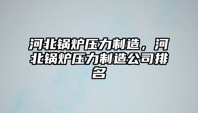 河北鍋爐壓力制造，河北鍋爐壓力制造公司排名