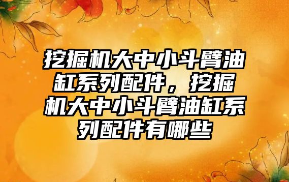 挖掘機大中小斗臂油缸系列配件，挖掘機大中小斗臂油缸系列配件有哪些