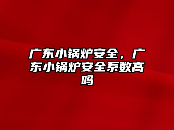廣東小鍋爐安全，廣東小鍋爐安全系數(shù)高嗎