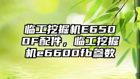 臨工挖掘機(jī)E6500F配件，臨工挖掘機(jī)e6600fb參數(shù)