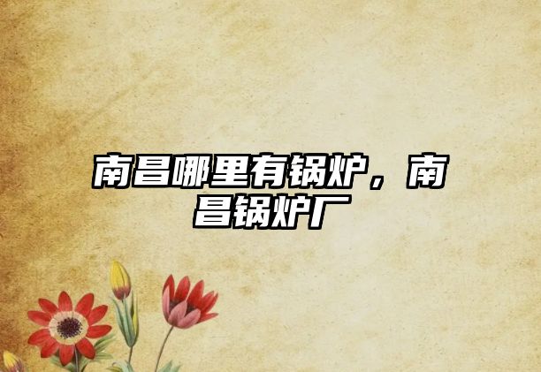 南昌哪里有鍋爐，南昌鍋爐廠