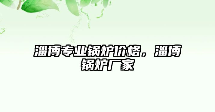 淄博專業(yè)鍋爐價格，淄博鍋爐廠家