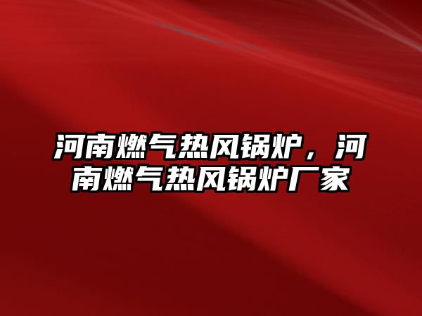 河南燃?xì)鉄犸L(fēng)鍋爐，河南燃?xì)鉄犸L(fēng)鍋爐廠家