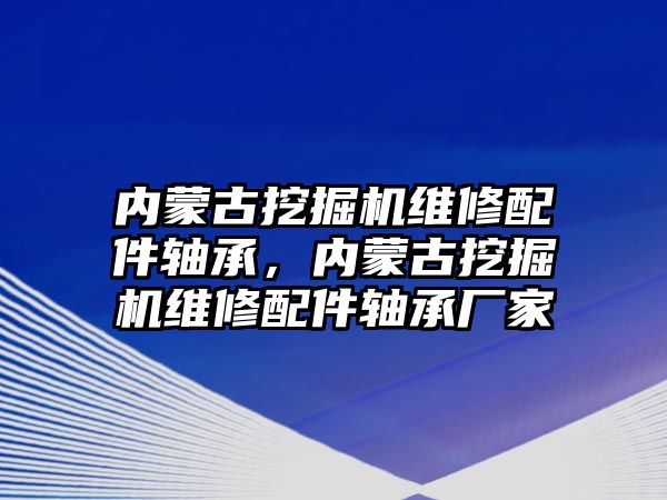 內(nèi)蒙古挖掘機維修配件軸承，內(nèi)蒙古挖掘機維修配件軸承廠家