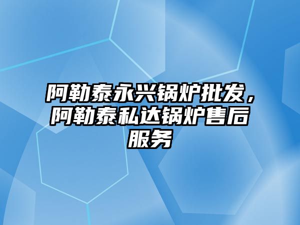阿勒泰永興鍋爐批發(fā)，阿勒泰私達鍋爐售后服務(wù)