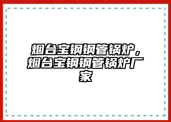 煙臺(tái)寶鋼鋼管鍋爐，煙臺(tái)寶鋼鋼管鍋爐廠家