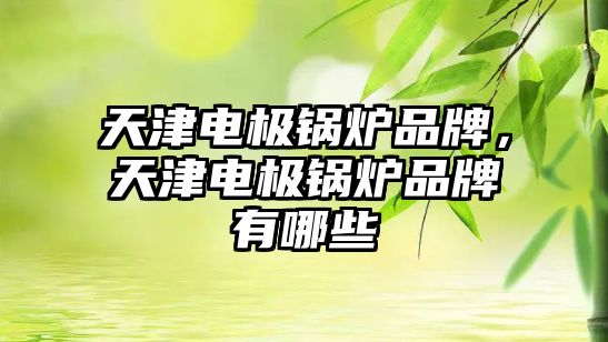 天津電極鍋爐品牌，天津電極鍋爐品牌有哪些