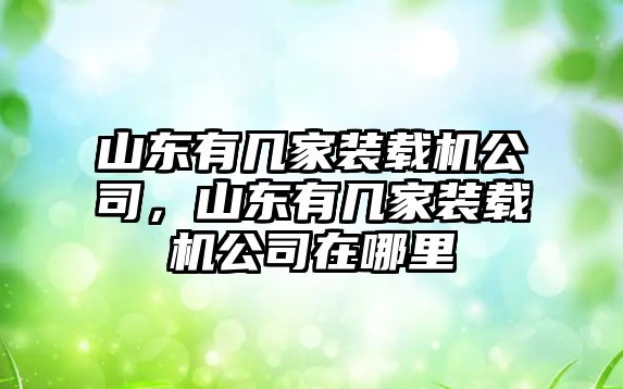 山東有幾家裝載機公司，山東有幾家裝載機公司在哪里