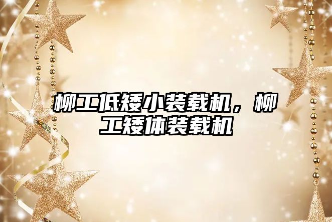 柳工低矮小裝載機，柳工矮體裝載機