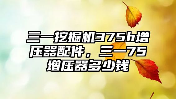 三一挖掘機375h增壓器配件，三一75增壓器多少錢
