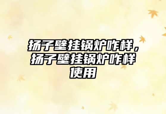 揚(yáng)子壁掛鍋爐咋樣，揚(yáng)子壁掛鍋爐咋樣使用