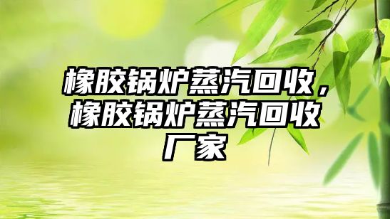 橡膠鍋爐蒸汽回收，橡膠鍋爐蒸汽回收廠家