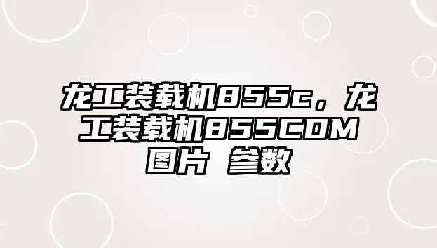 龍工裝載機(jī)855c,龍工裝載機(jī)855CDM圖片 參數(shù)